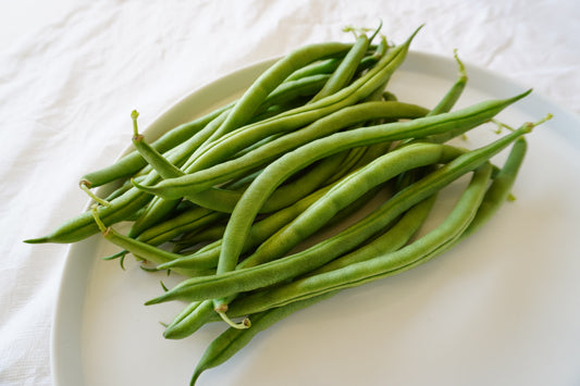 Goliath Organic Bush Beans – Large Tender Pods for Home Gardeners, Disease Resistant for Easy Harvesting 0