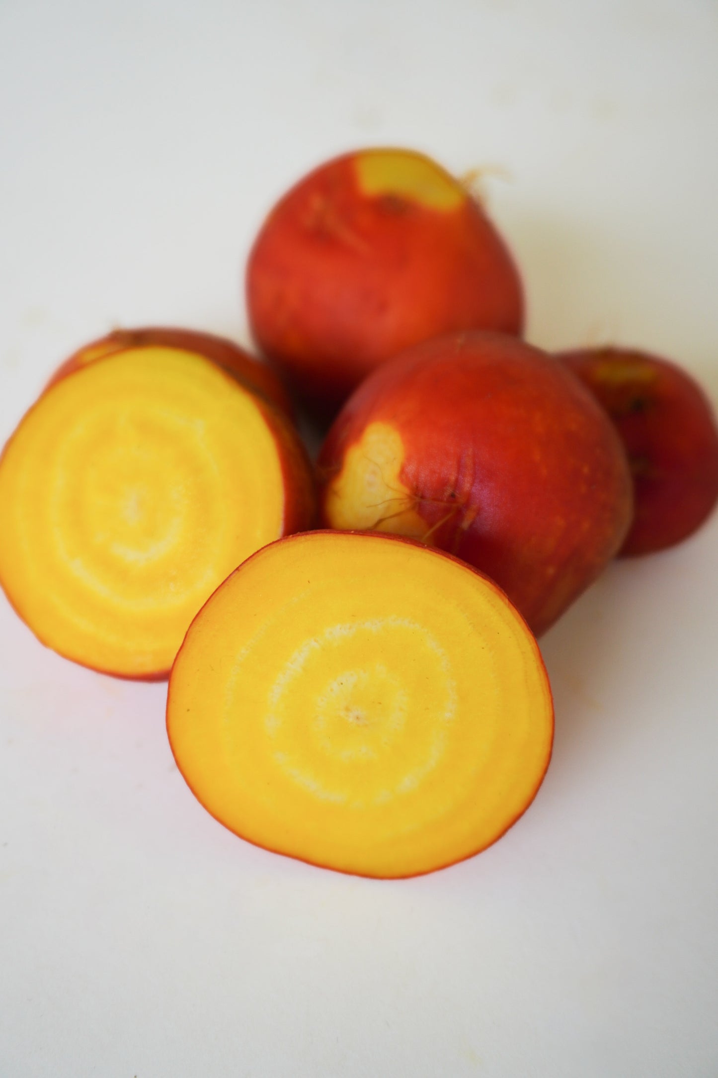 Gorgeous Golden Boy Beet – Vibrant Color and Sweet Flavor for Garden Enthusiasts 3