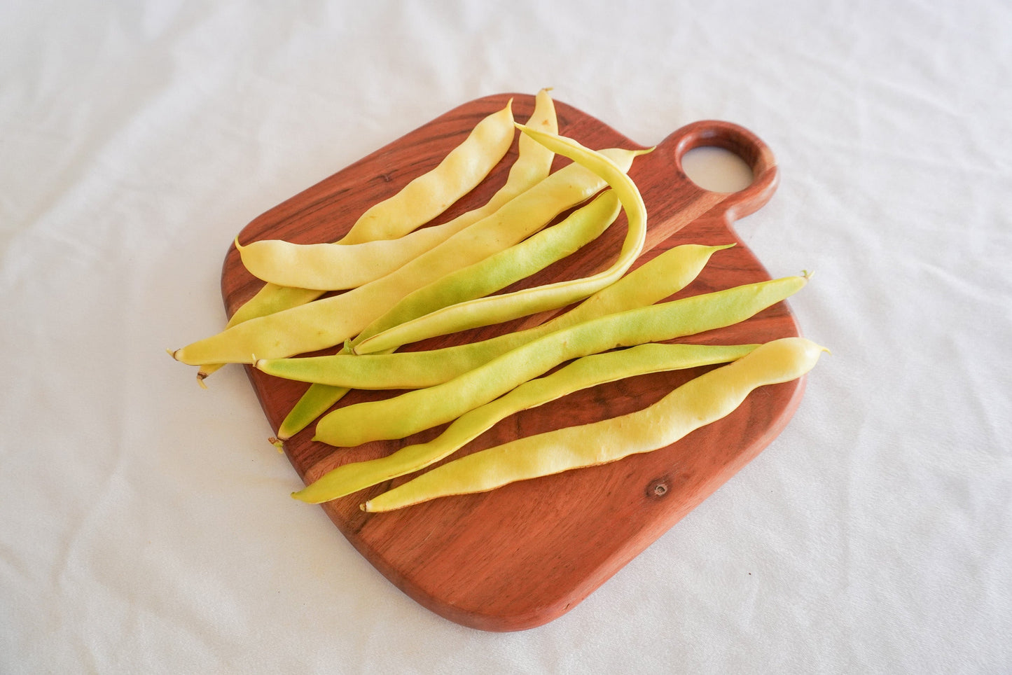 Gorgeous Golden Gate Organic Beans – Tender Romano-Style Pods for Abundant, Delicious Harvests 1