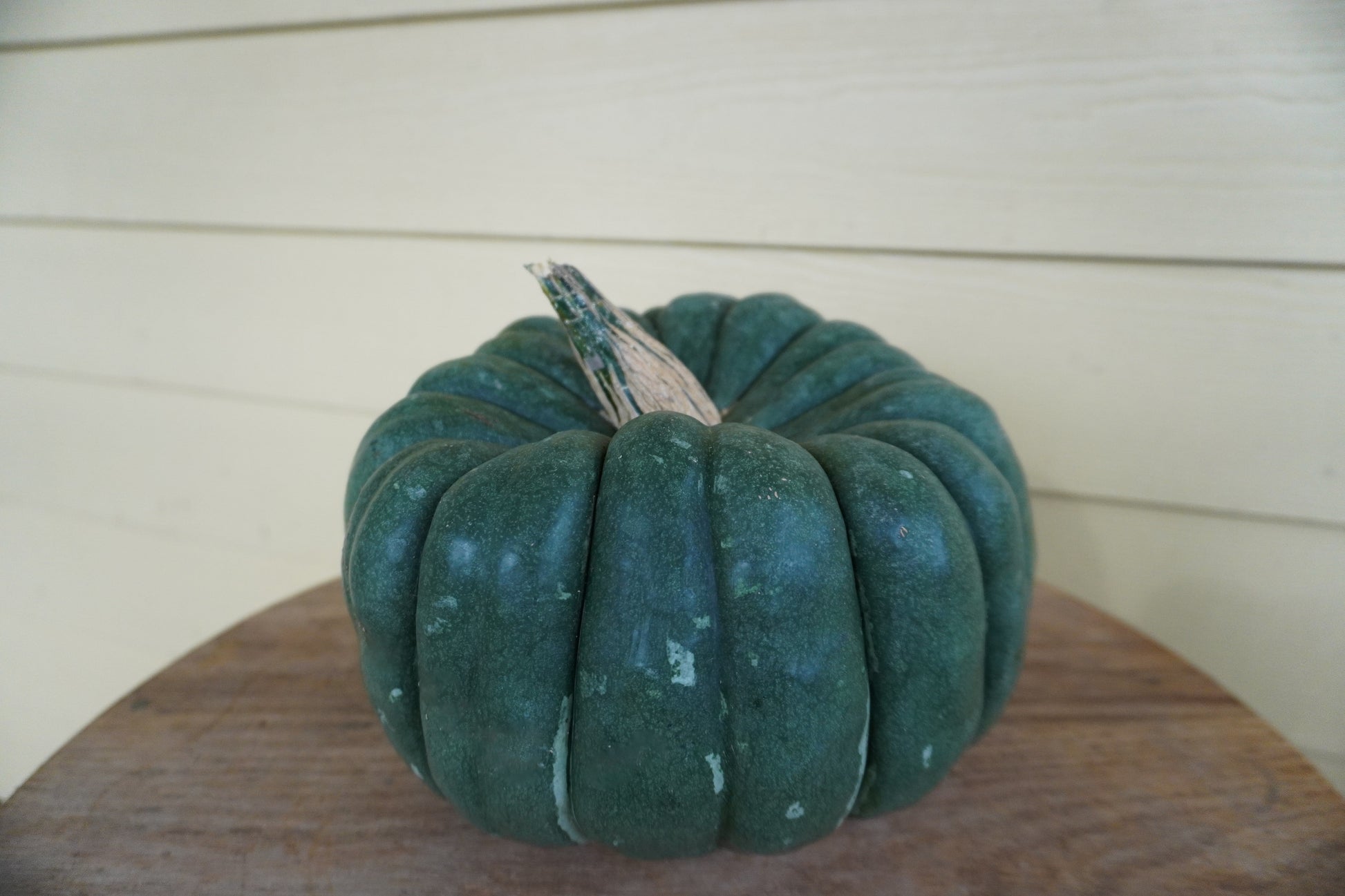 Jade Knight Edible Pumpkin – Vibrant Color and Delicious Flavor 0