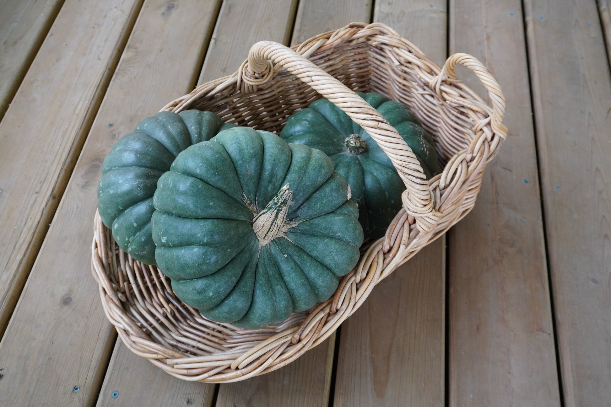 Jade Knight Edible Pumpkin – Vibrant Color and Delicious Flavor 1