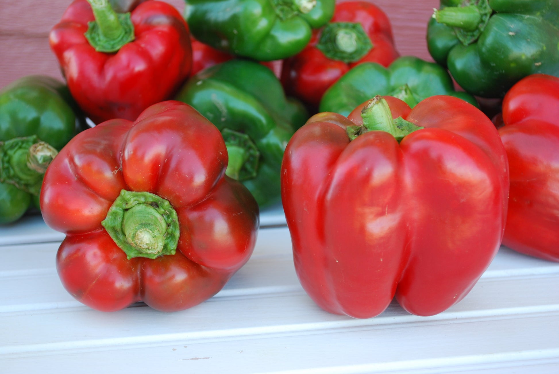 KingoftheNorth Organic Bell Pepper Seeds – Ideal for Northern Gardens with Sweet, Blocky Fruits 0
