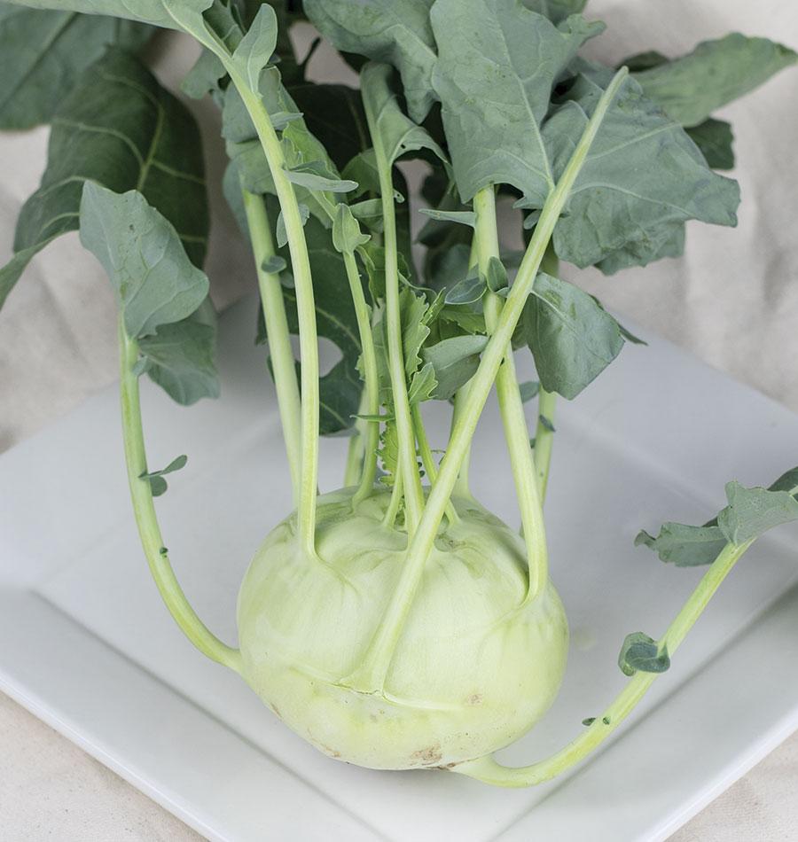 Kona Hybrid Kohlrabi Seeds – Ideal For Home Gardeners – Uniform & Insect-Resistant Vegetable Seeds For Fresh Eating 0