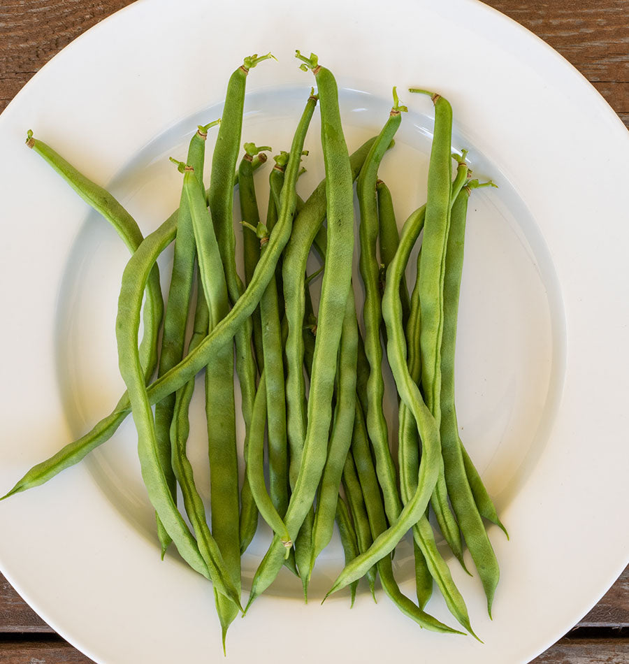 Lively Heirloom Lazy Housewife Beans – Flavorful Stringless Pole Beans for Garden Enthusiasts 0