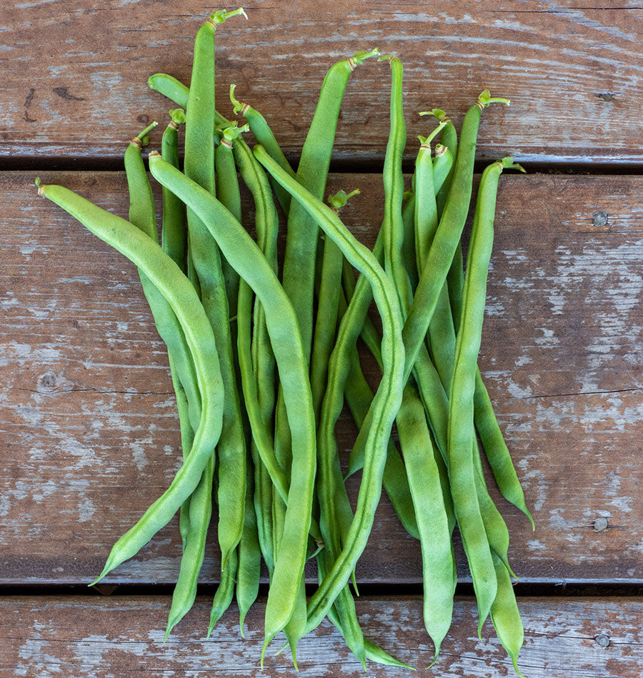 Lively Heirloom Lazy Housewife Beans – Flavorful Stringless Pole Beans for Garden Enthusiasts 2