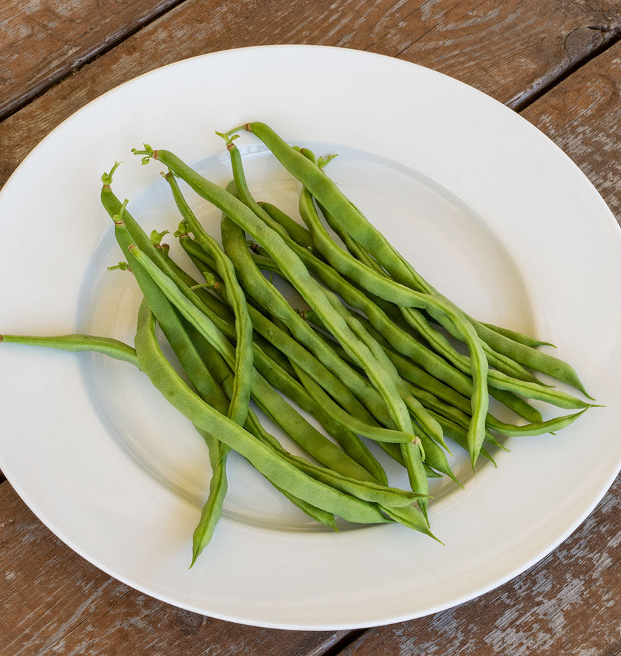Lively Heirloom Lazy Housewife Beans – Flavorful Stringless Pole Beans for Garden Enthusiasts 3