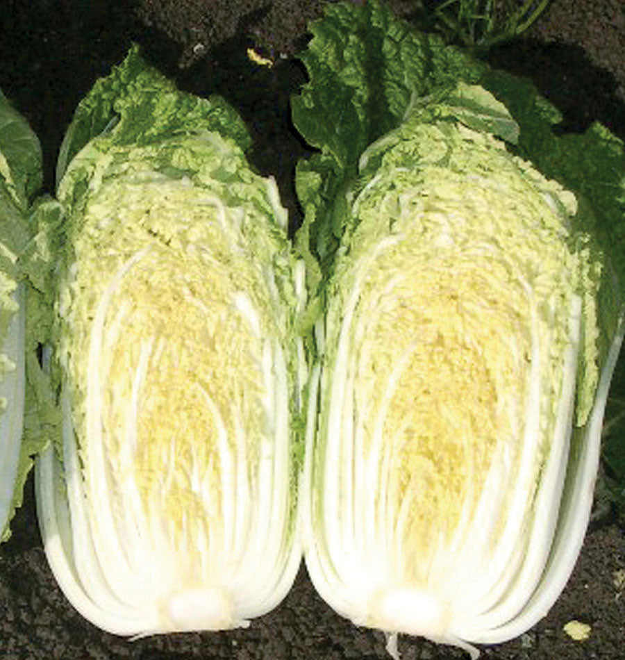 Luxe Vegetable Seeds for Gardeners – Sweet Crisp Flavor for Fresh Salads 1