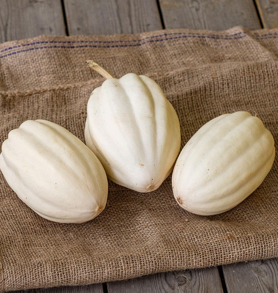 Mellow White Acorn Squash – Ideal for Healthy Cooking Alternatives 0