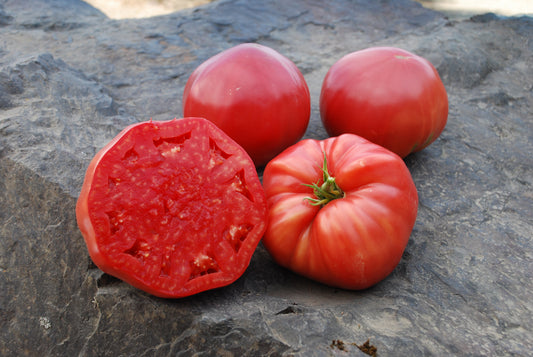Mighty Heirloom Tomato Seeds – Organic Beefsteak Variety with Exceptional Flavor for Home Gardeners 0