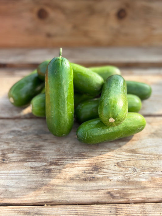 Mighty Mini-Me Organic Cucumbers – Ideal Snack for Health-Conscious Families 0
