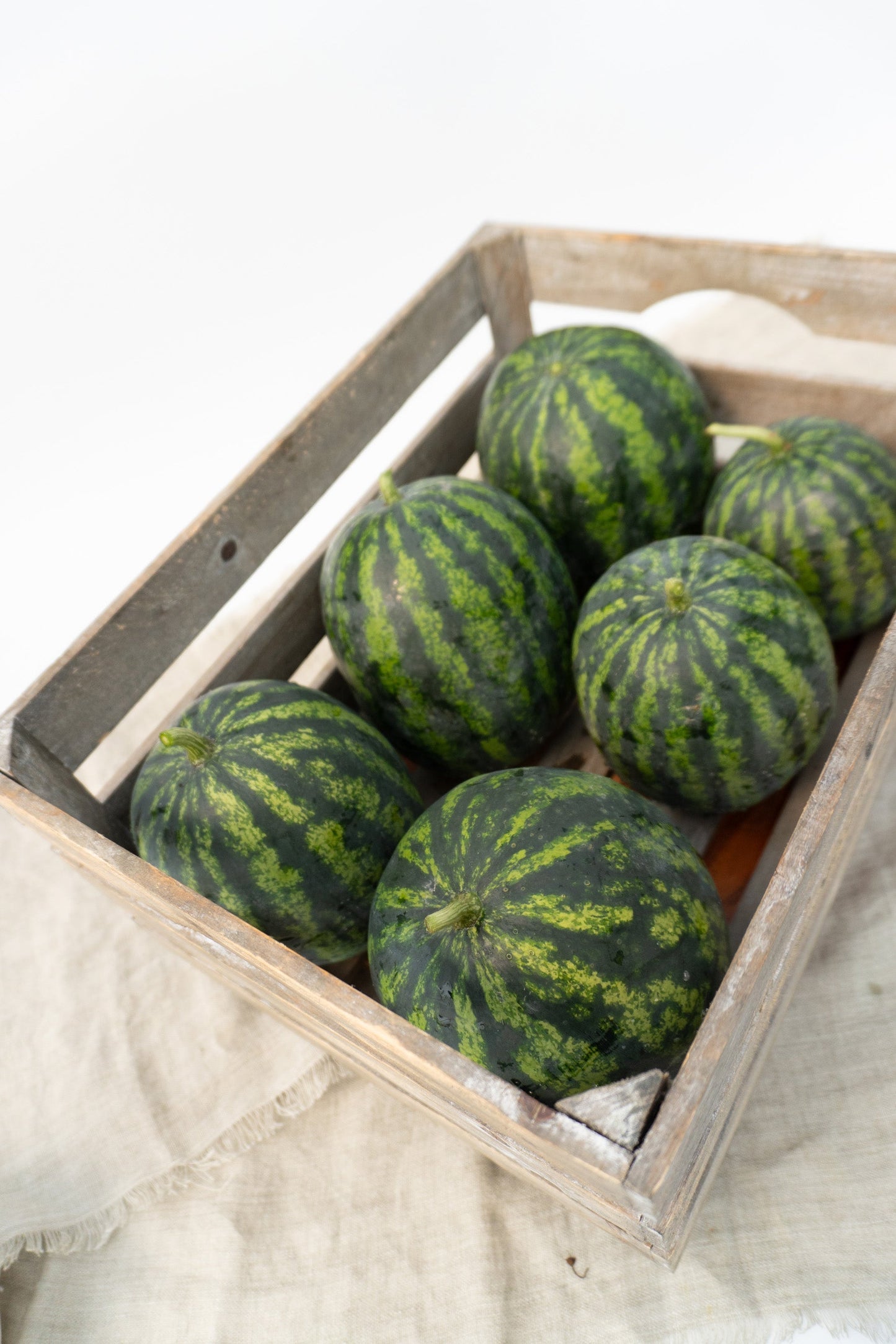 Mighty Mini Mike F1 Gardeners Fruit – High Yielding Sweet Watermelon Delight 0