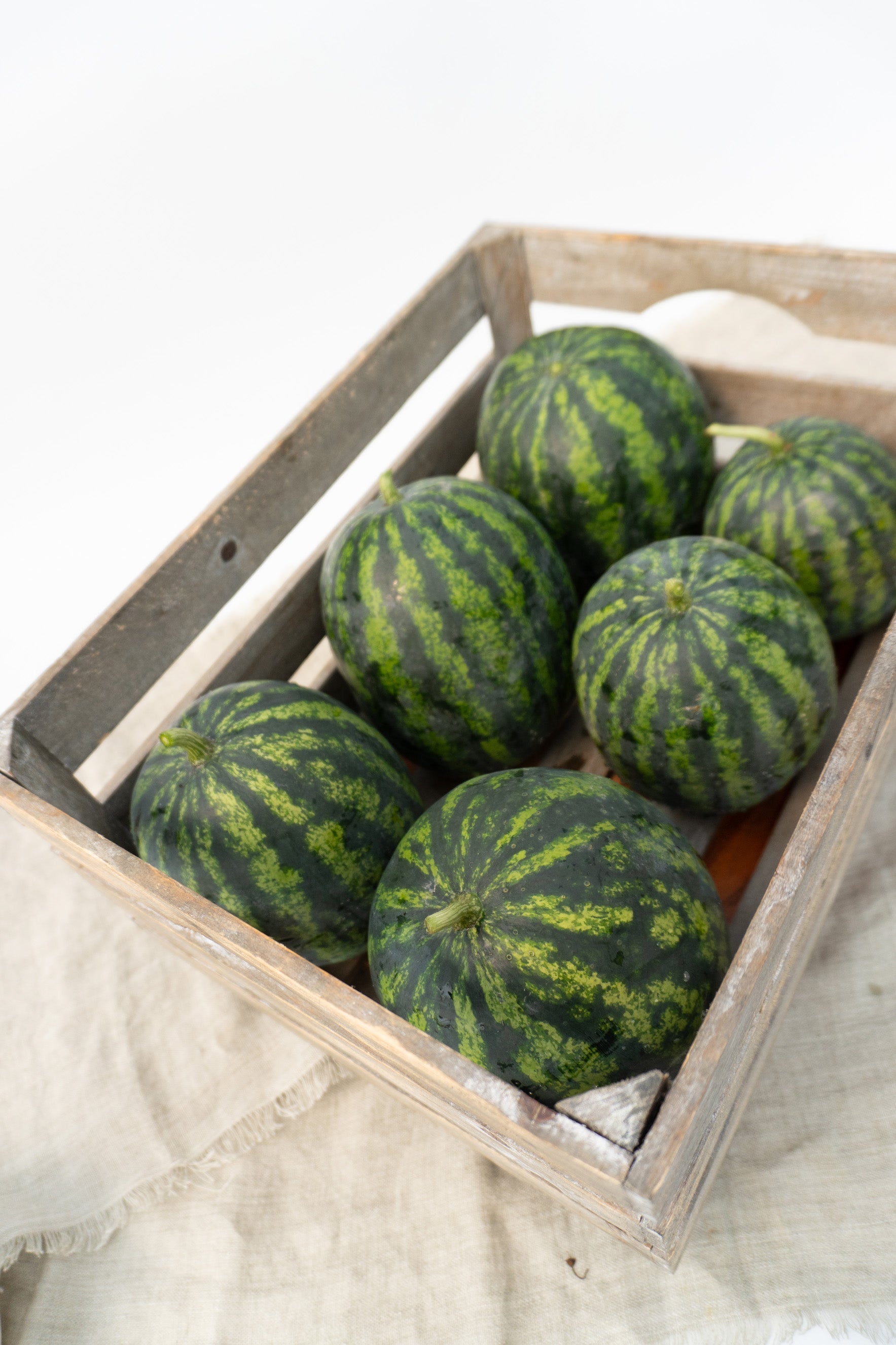 Mighty Mini Mike F1 Gardeners Fruit – High Yielding Sweet Watermelon Delight 0