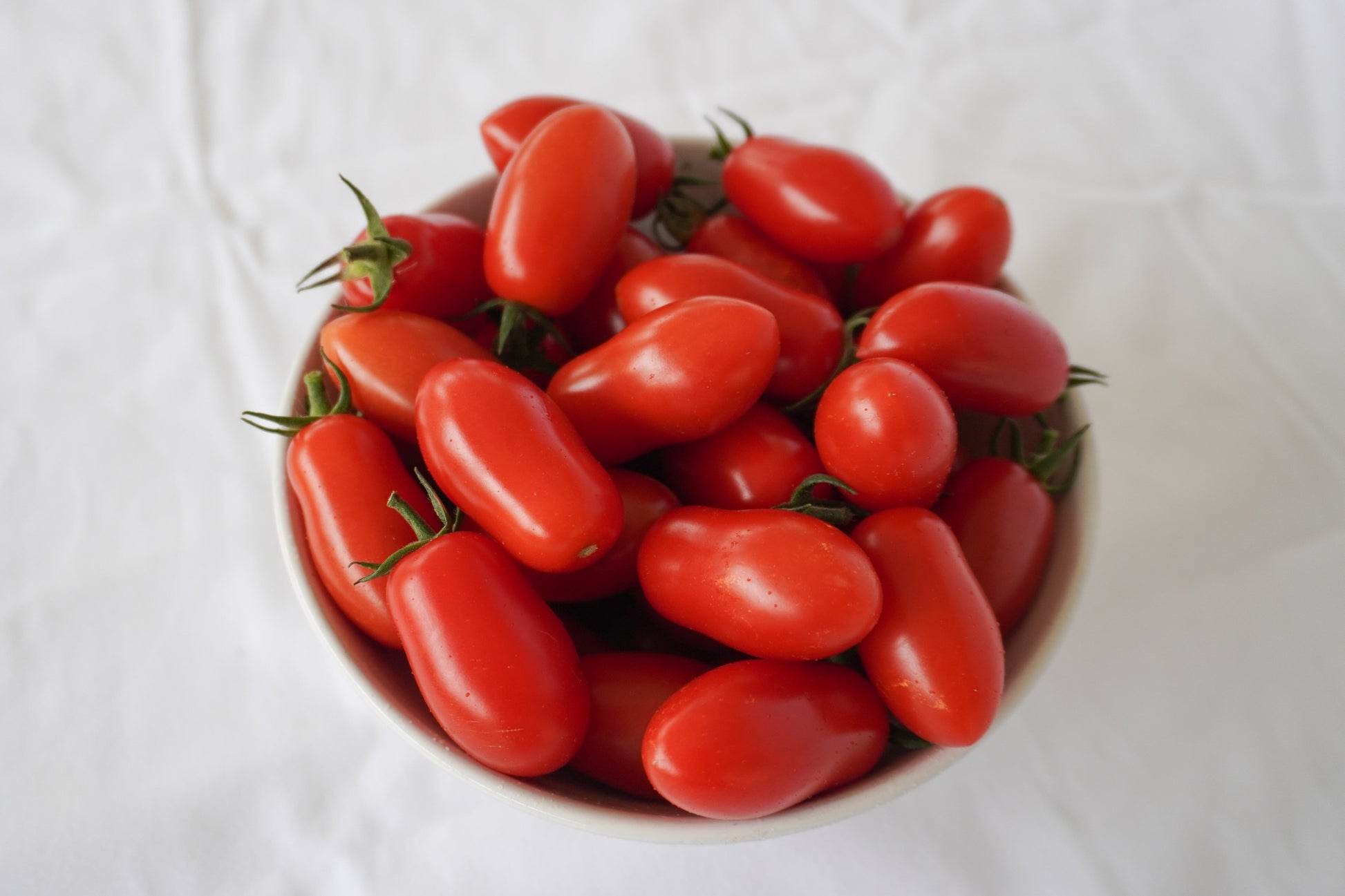 Mighty Mini Tomato Plant – High-Yielding, Early Maturing Variety for Fresh Snacking and Cooking 0