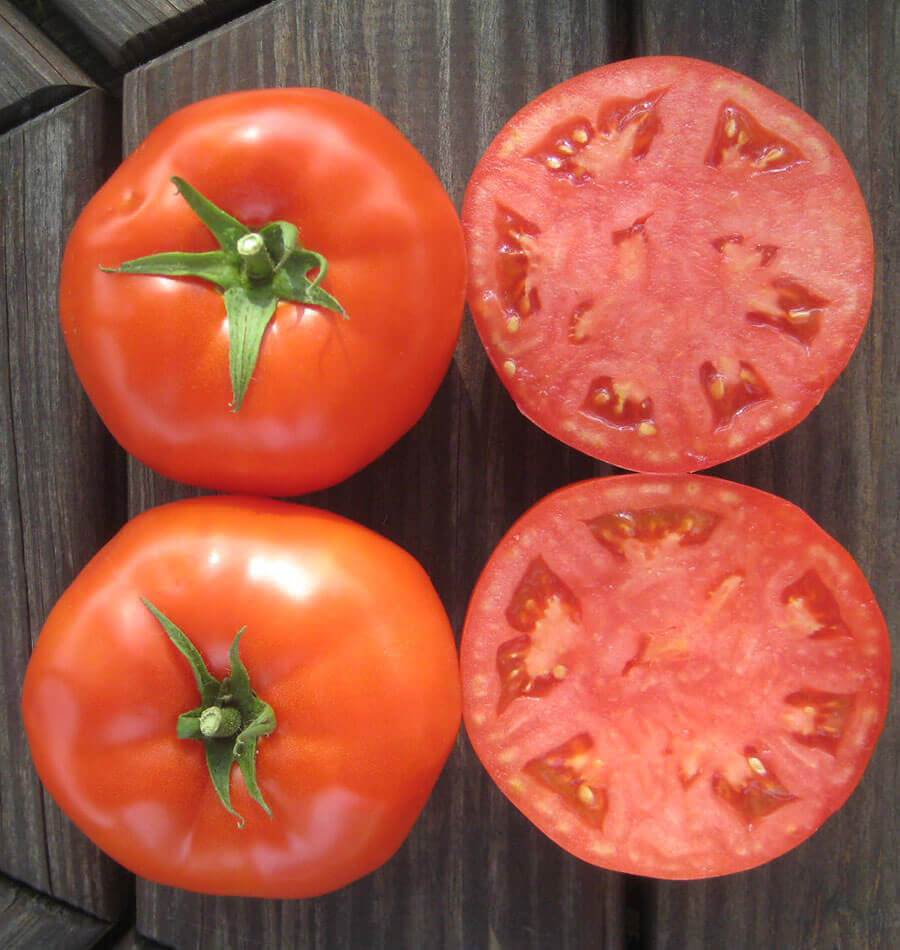 Mighty Mountain Tomato Seeds – Disease Resistant Bush Variety for Flavorful Slices 1