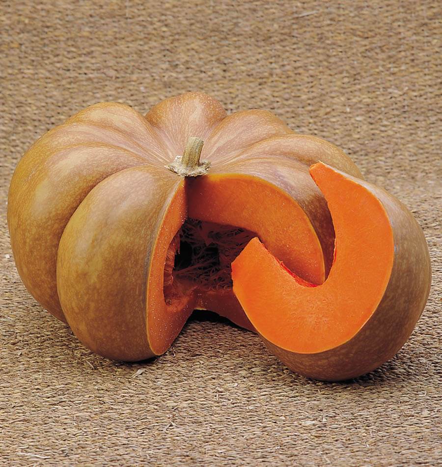 Mighty Winter Musquee Pumpkin – Decorative Heirloom Squash with Sweet Flavor 0
