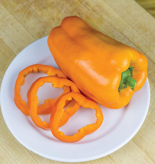 Milena Organic Bell Pepper Seeds – Thick-Walled Early Maturing Variety with Sweet Flavor for Home Gardens 0