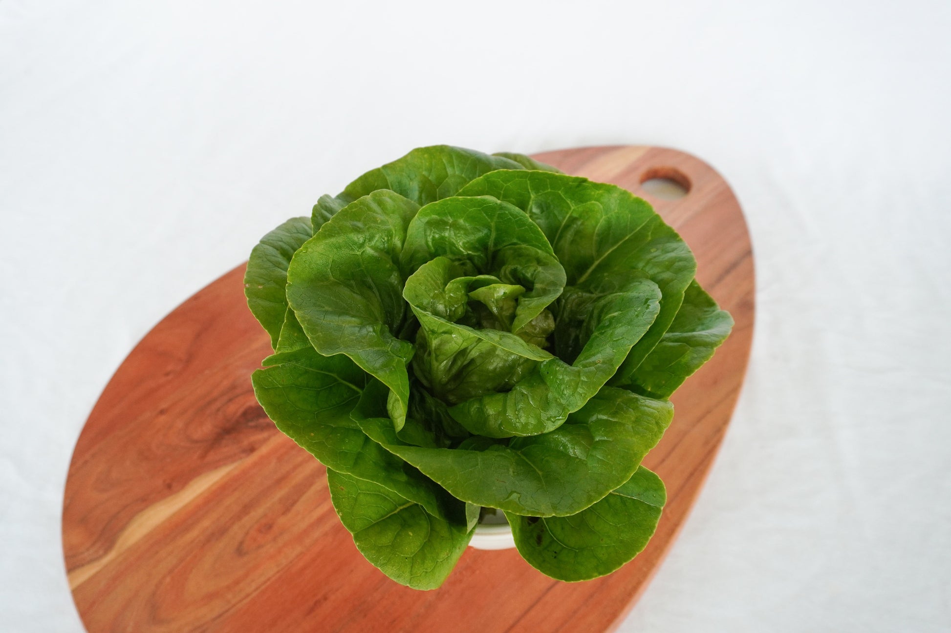 Natura Organic Lettuce Seeds – Compact Little Gem Variety for Year-Round Fresh Harvest 2