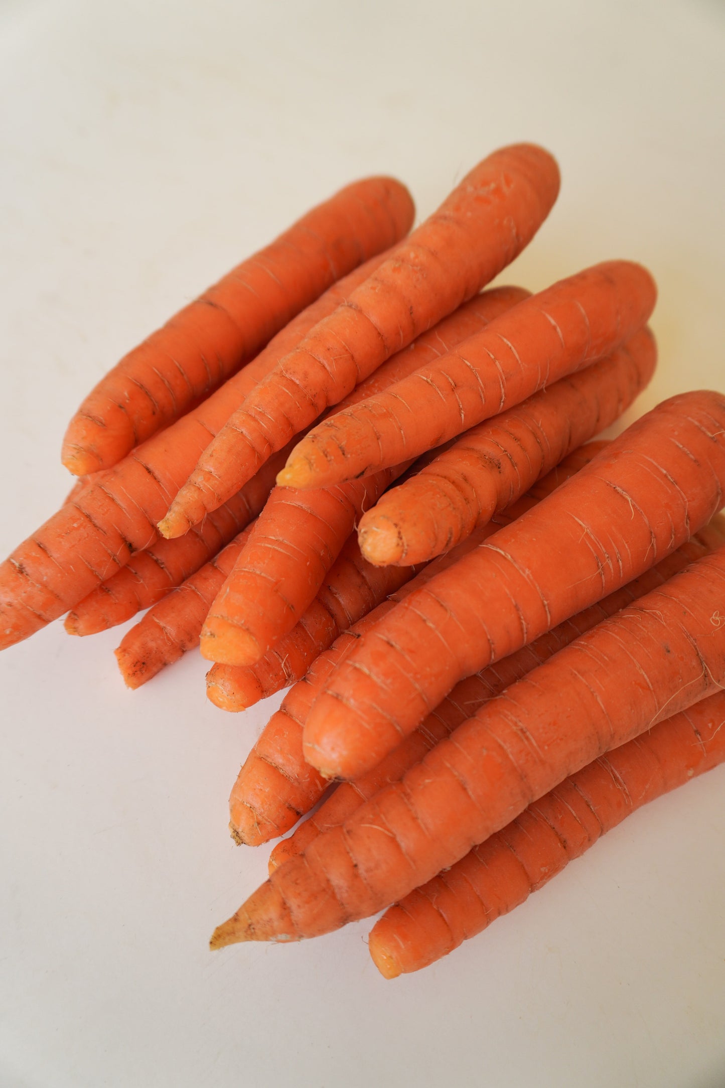 Nina Gardeners' Nantes Carrot Seeds – Robust Hybrid With Strong Tops for Easy Harvesting 4