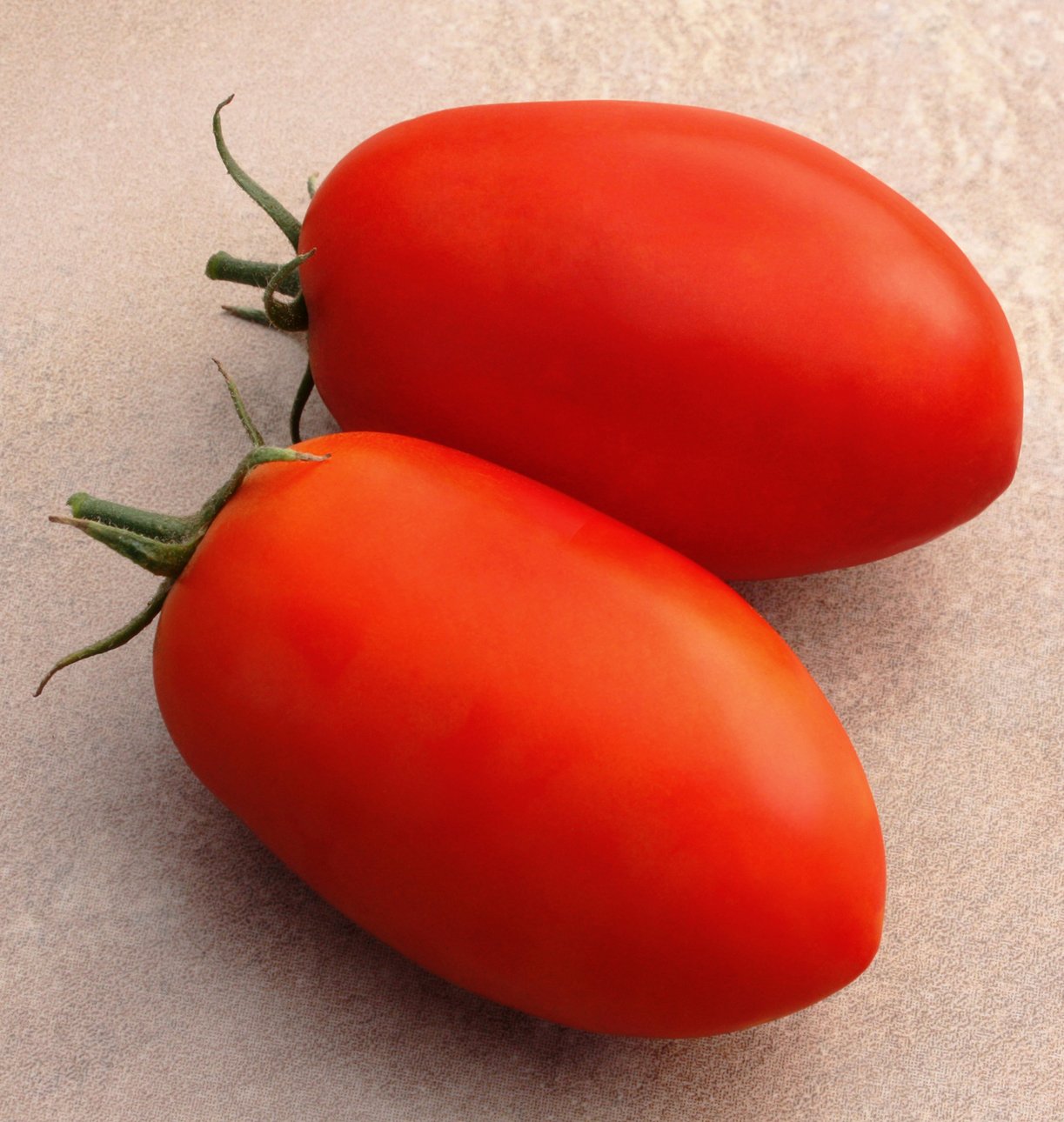 Optimax Roma Tomato Seeds - High Yielding Saladette Variety for Indoor/Outdoor Growing, 76 Days Maturation 0