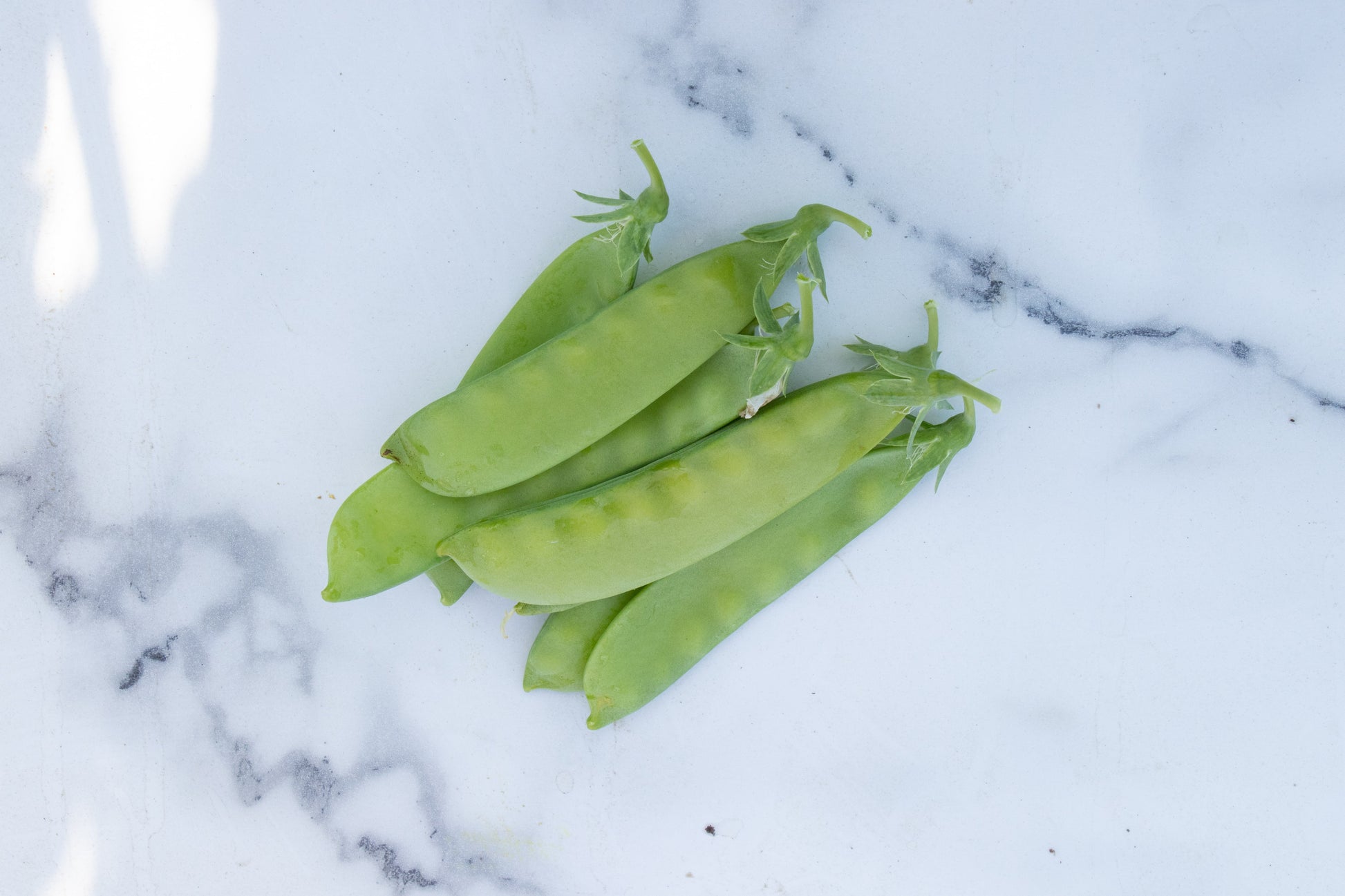 Oregon Snow Peas Organic Seed – High-Yield Flavorful Pods for Garden Enthusiasts 3