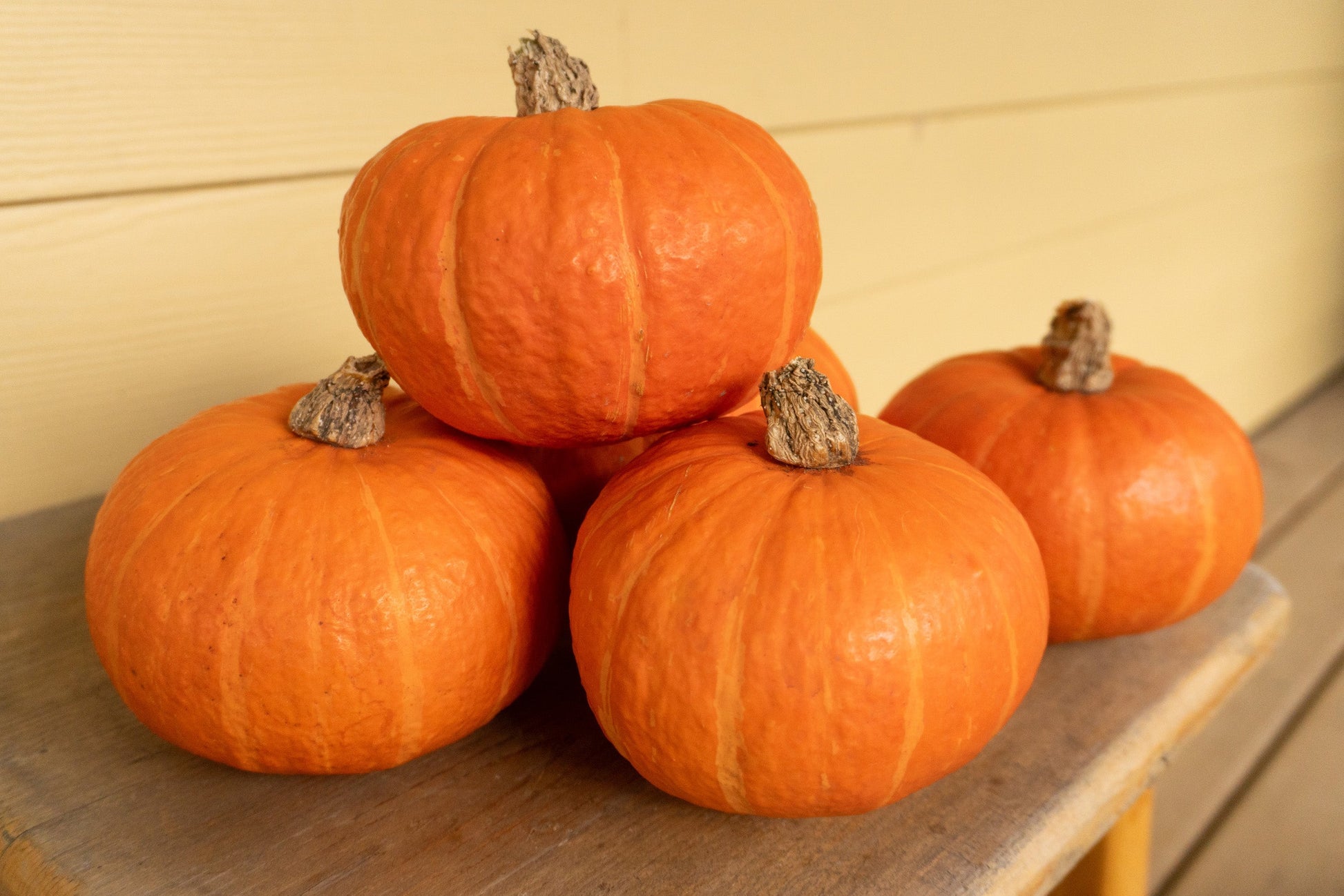 Oriana Mini Kabocha Squash – High Yielding Variety for Small Spaces with Sweet, Dry Flesh 1