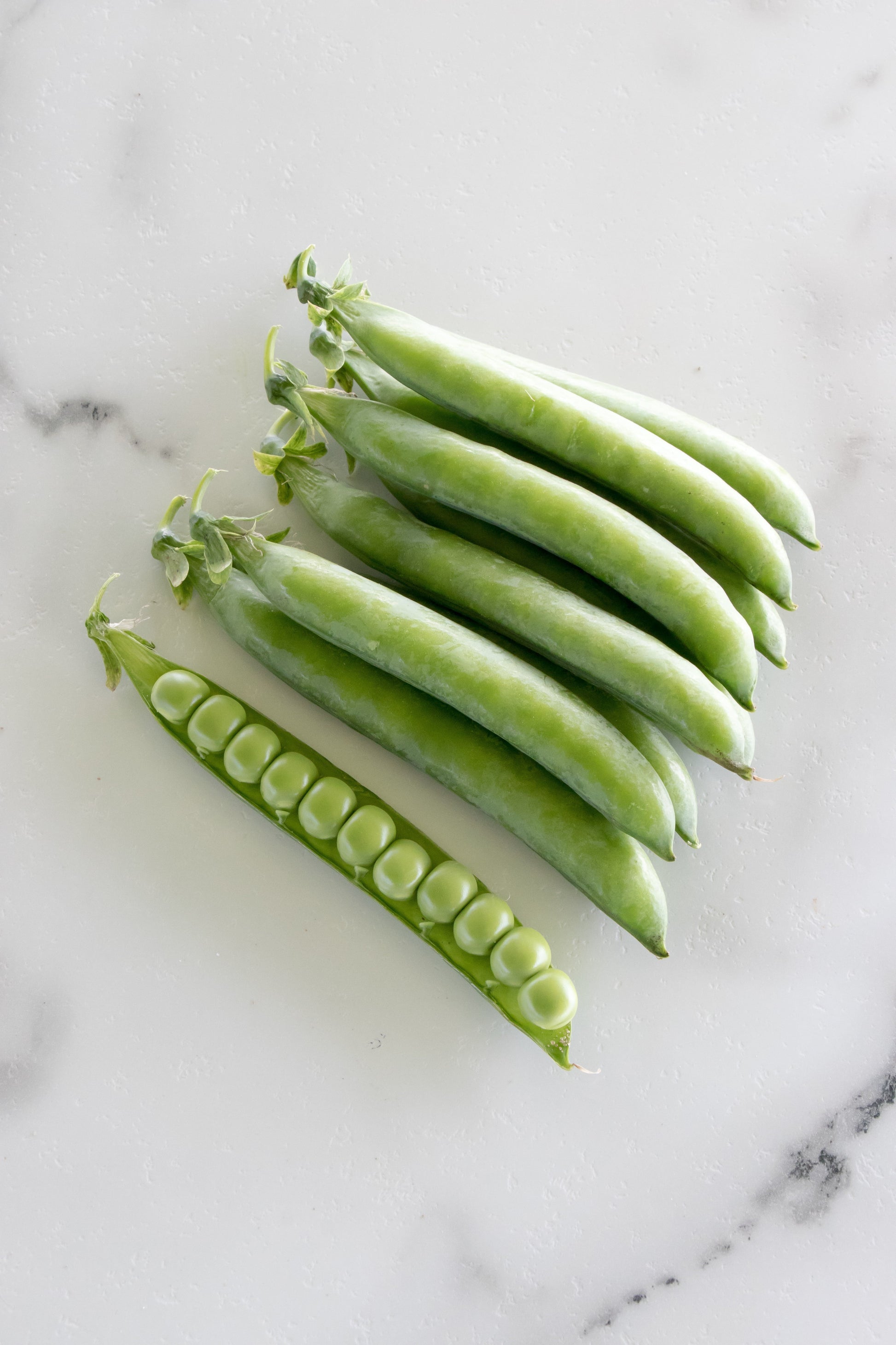 Penny Organic Shelling Peas – High Yielding Edible Tendrils for Delicious Harvests 2