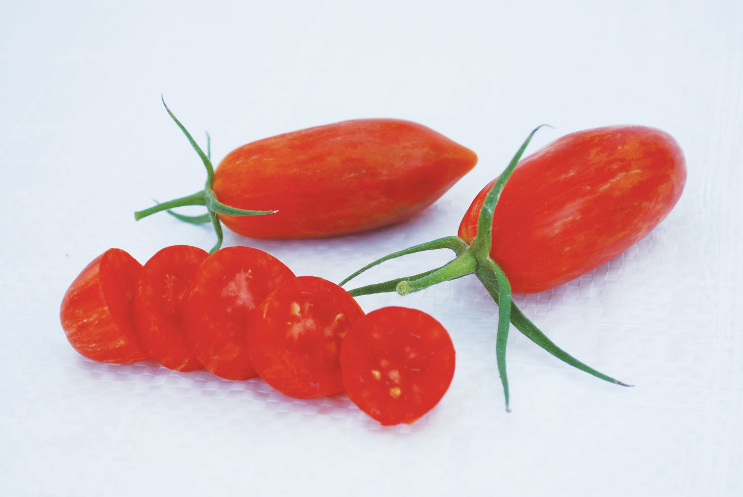 Pine Organic Tomato Seeds – Sweet Compact Variety for Quick Home Garden Harvests 0