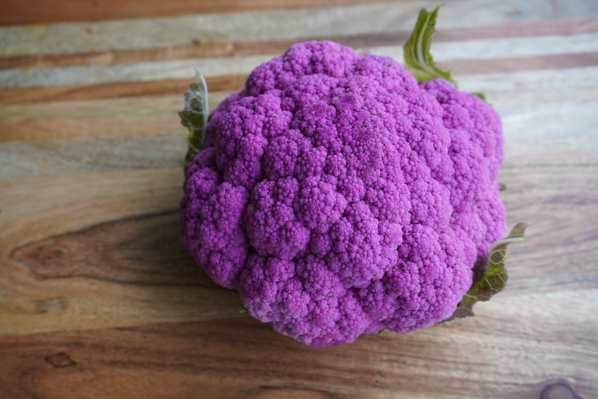 Pine Purple Moon Cauliflower – Fast-Growing Vegetable for Early Harvest 1