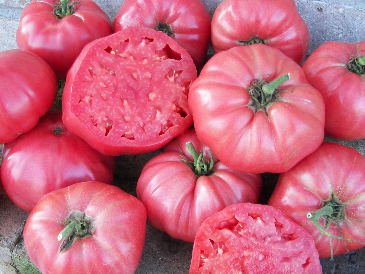 Pinky Brandywine Organic Tomato – Heirloom Variety with Rich Flavor and High Yields 0