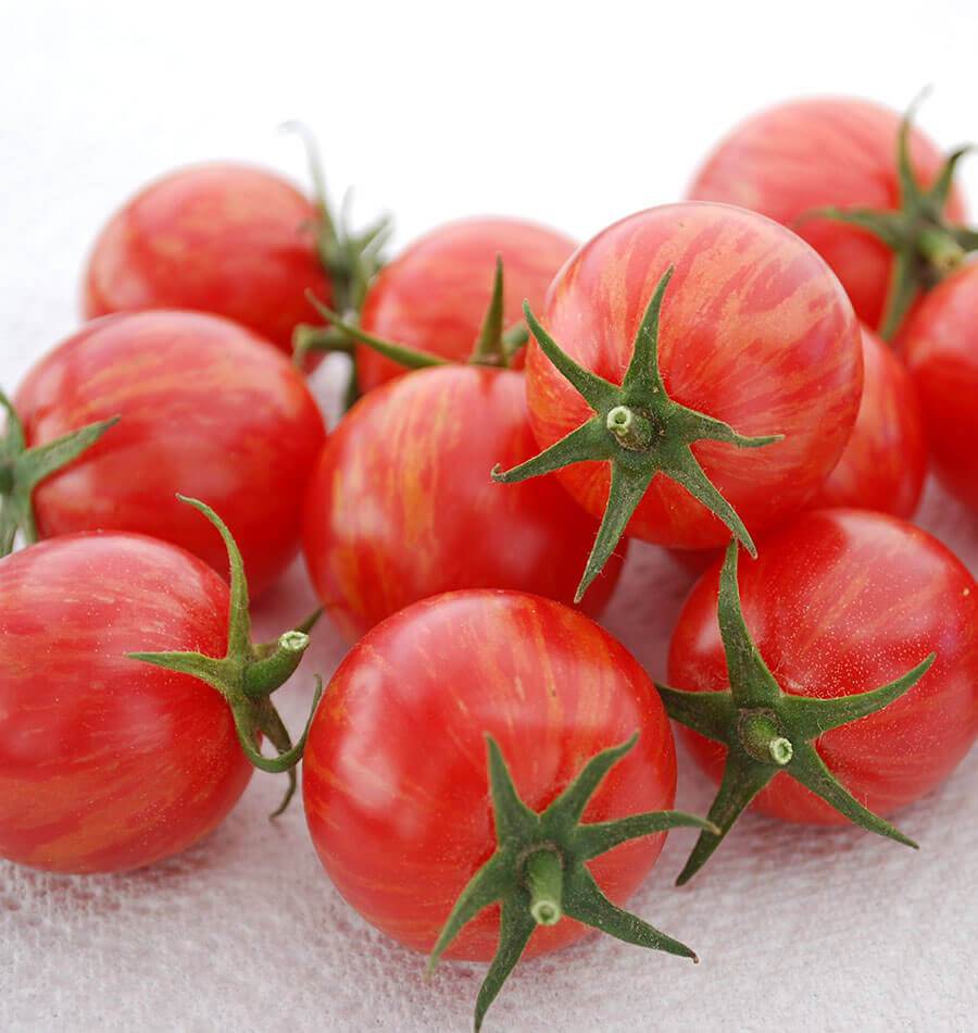 Pinky Organic Tomato Seeds for Gardeners – Vibrant Cherry Fruits with Sweet Flavor 0