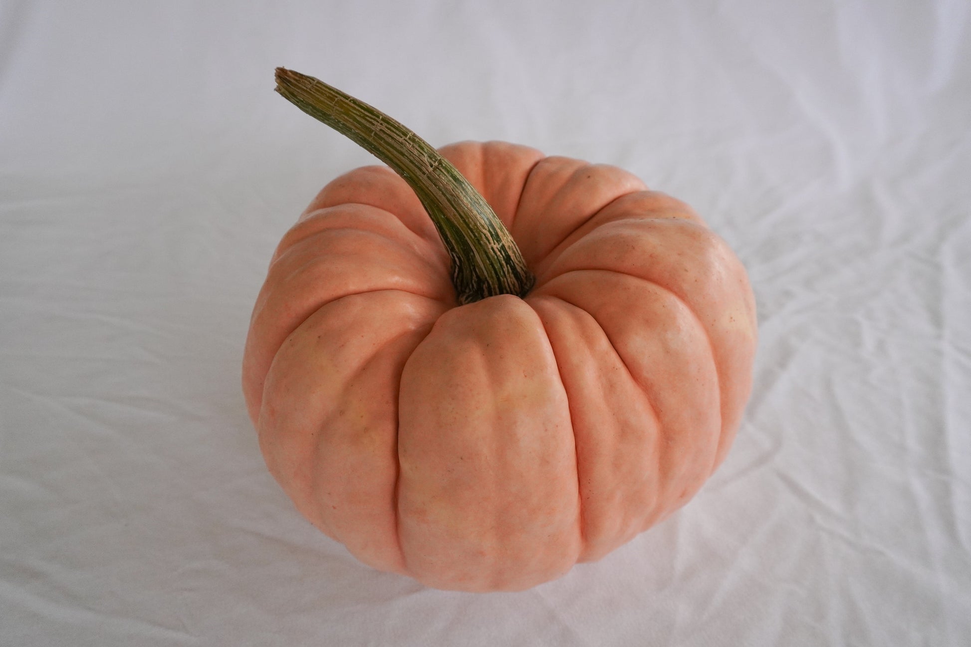 Poppy Garden Edible Pumpkin – Beautifully Ribbed Design for Stunning Stacked Displays 2