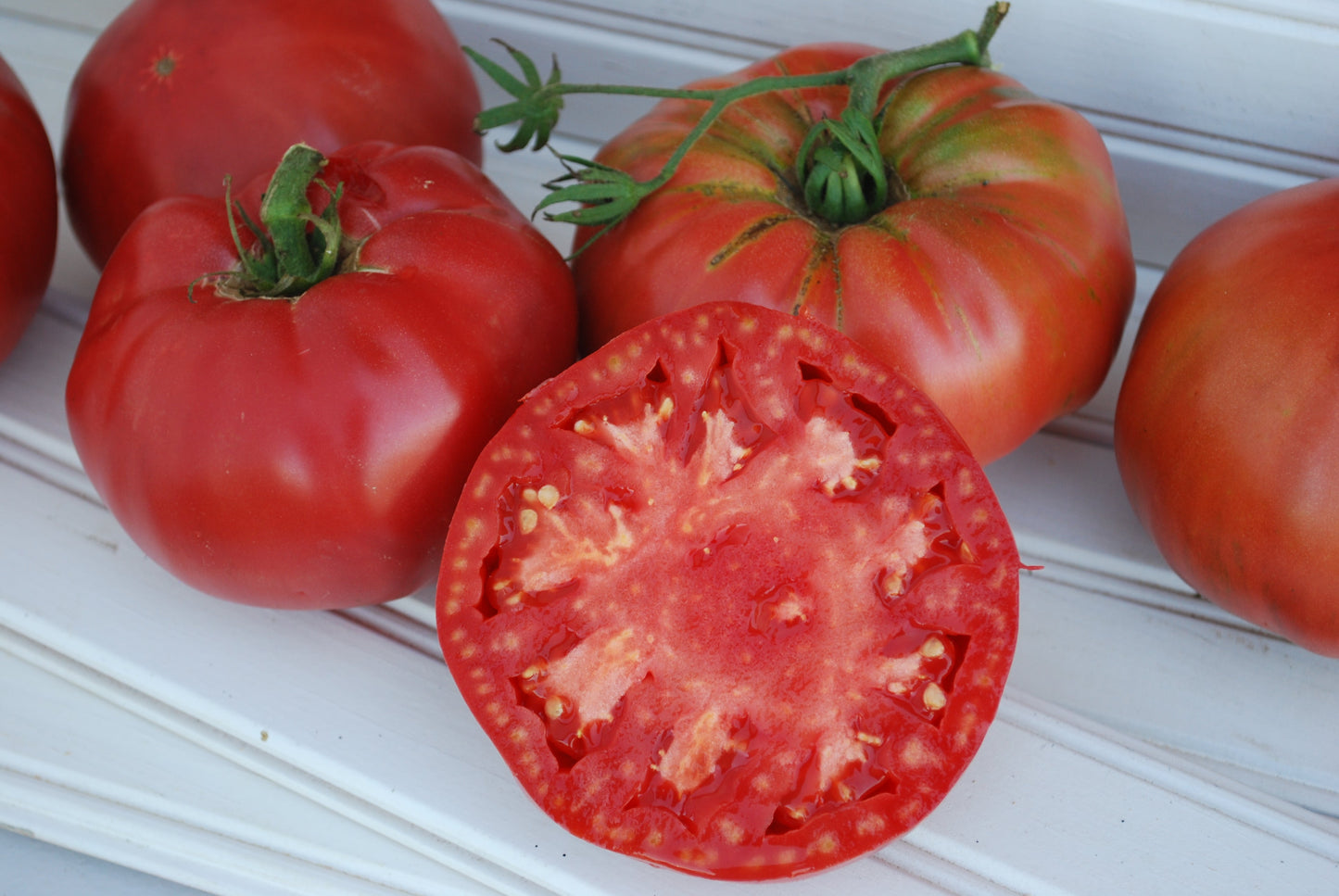 Pruden's Purple Heirloom Tomato – Early-Season Beefsteak with Rich Flavor 0