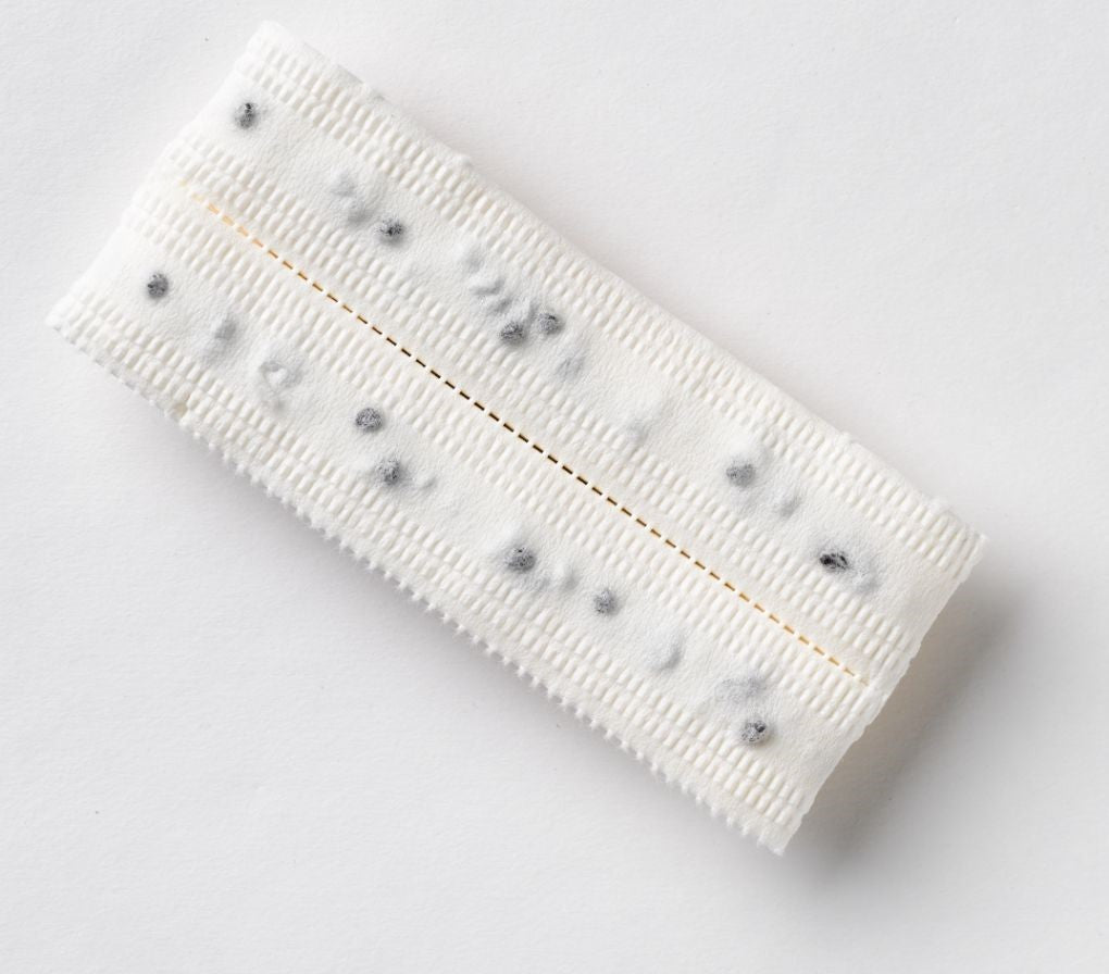Randy French Breakfast Radish Seeds – Easy Sowing Seed Tape for Fresh, Crisp Salads 1