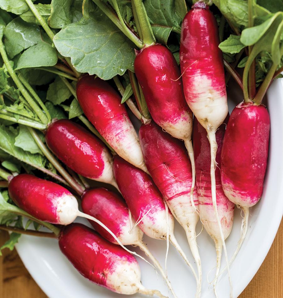 Randy French Breakfast Radish Seeds – Easy Sowing Seed Tape for Fresh, Crisp Salads 2