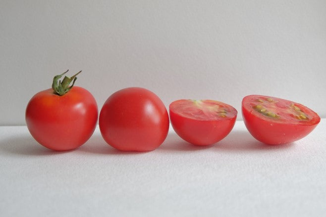 Red Racer Tomato Plant – Compact Bush Variety with Early Maturing Sweet Flavor for Garden Enthusiasts 0