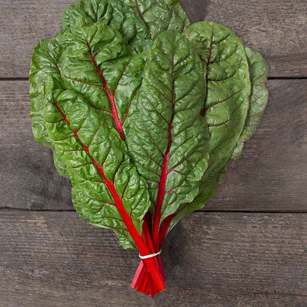 Rhubarb Supreme Organic Gardening Seed – Improved Variety with Excellent Bolt Resistance for Healthy Harvests 0