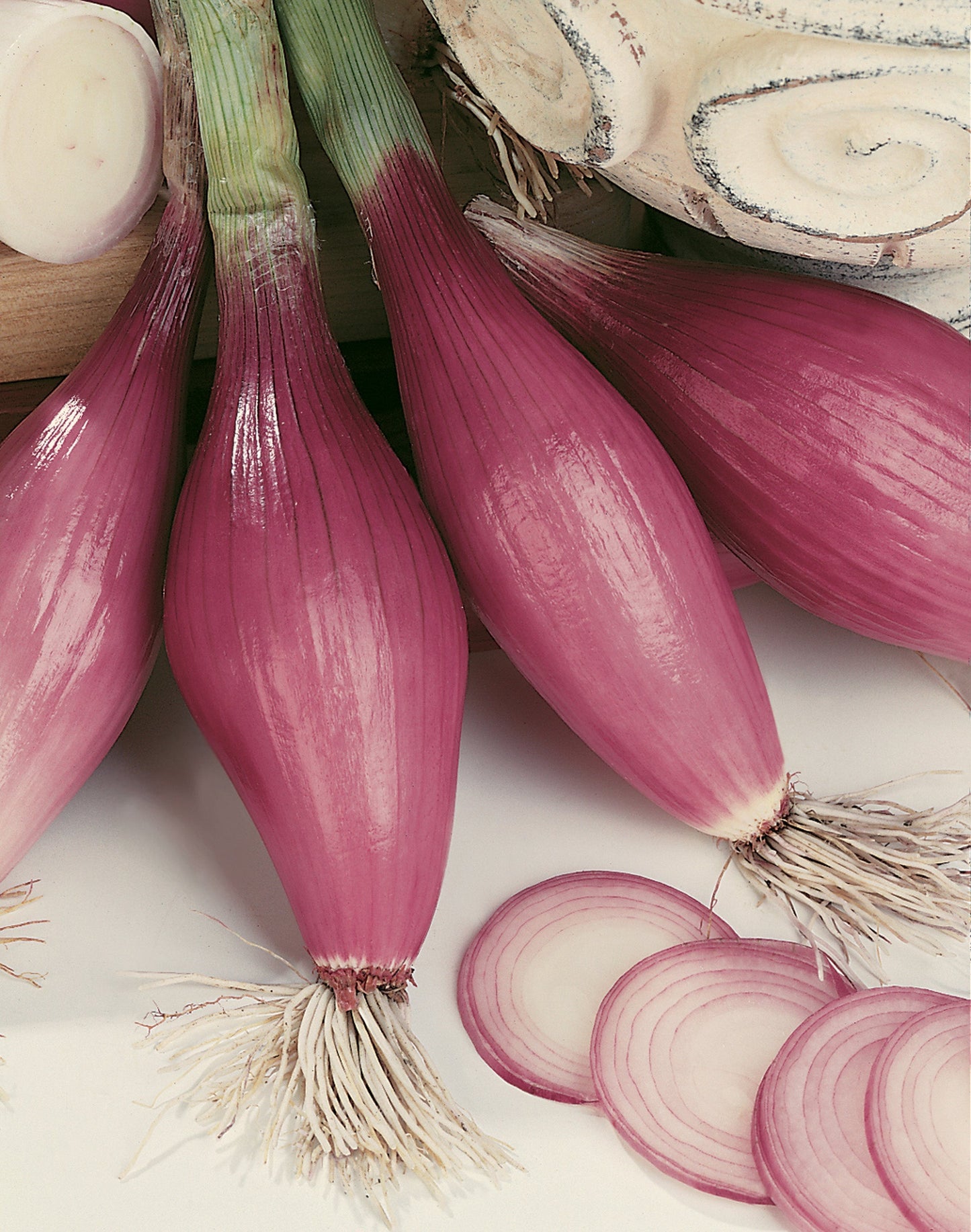 Rossa Women’s Purple Heirloom Onion – Elongated Shape With Sweet Flavor for Culinary Use 0