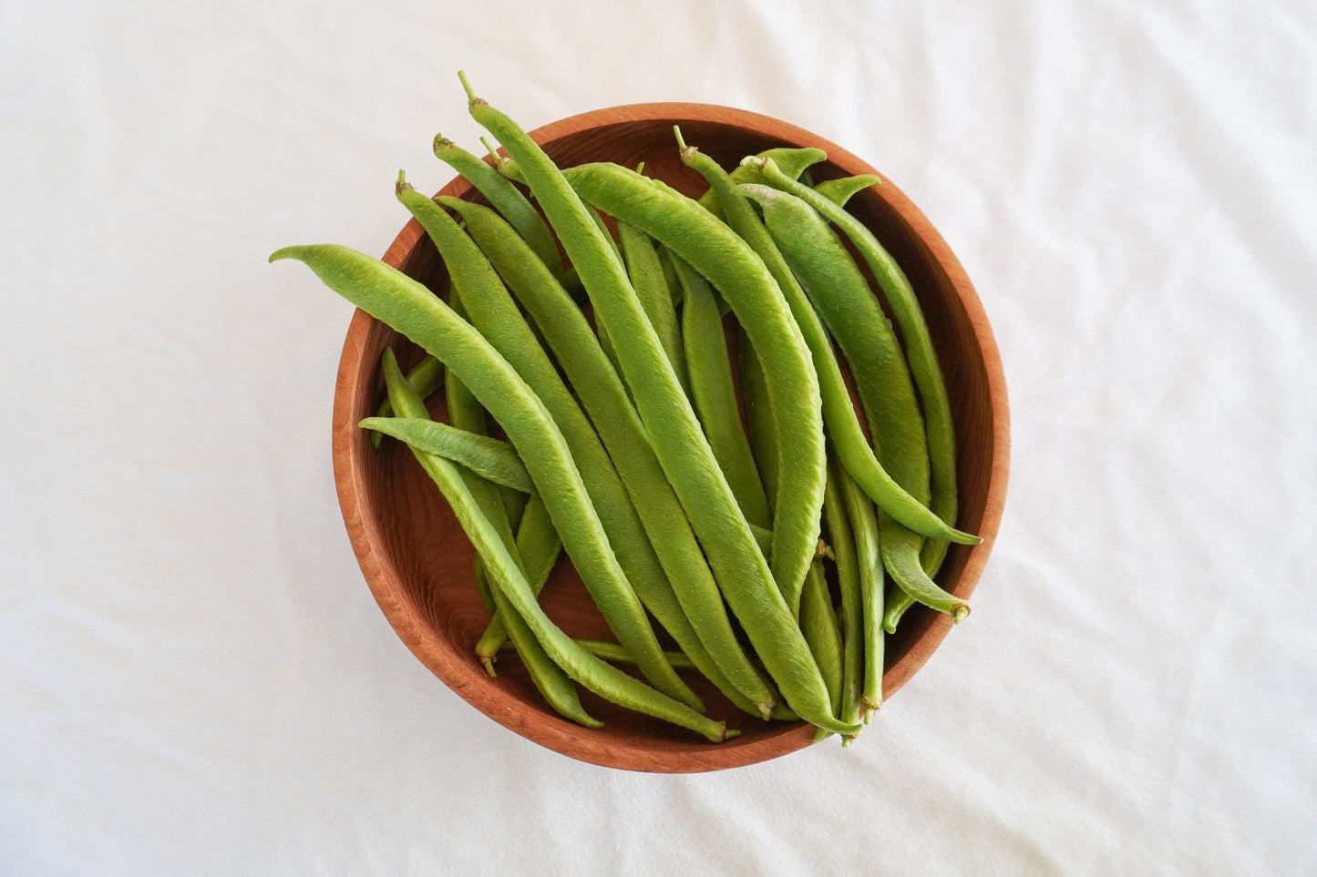 Sandy Gardeners' Sunset Runner Bean – Vibrant Peach Blossoms with Edible Flowers 2