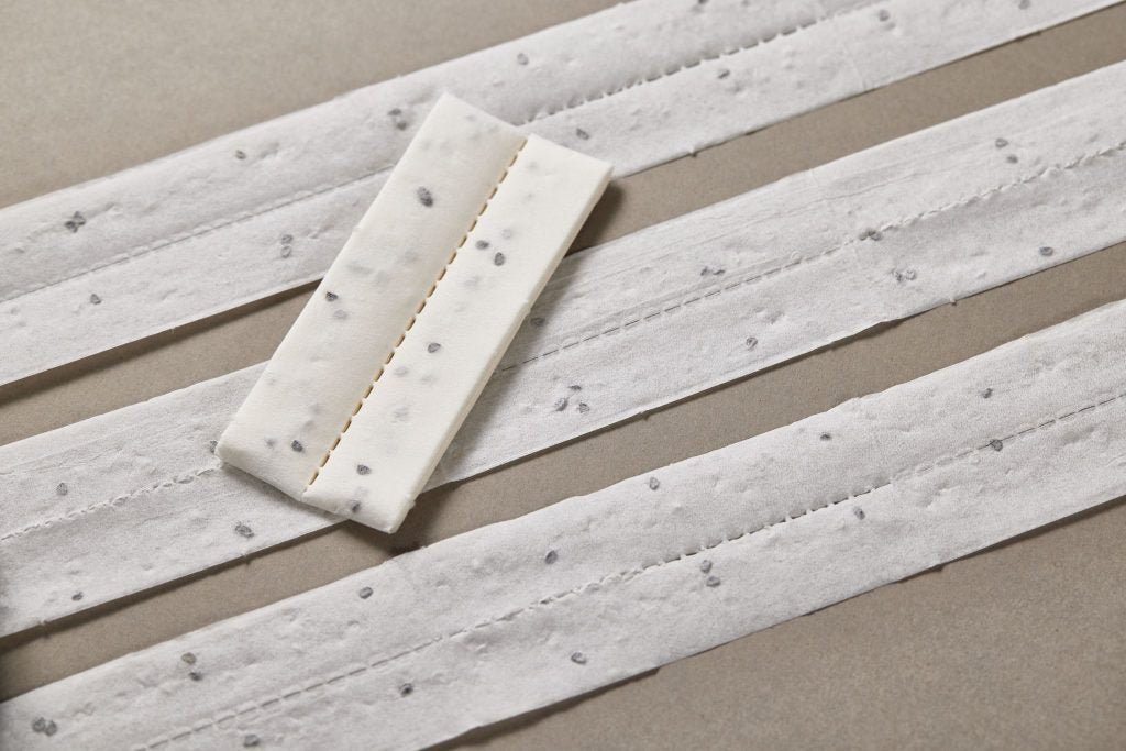 Sandy Heirloom Carrot Seed Tape – Effortless Sowing for Flavorful Nantes Carrots 1