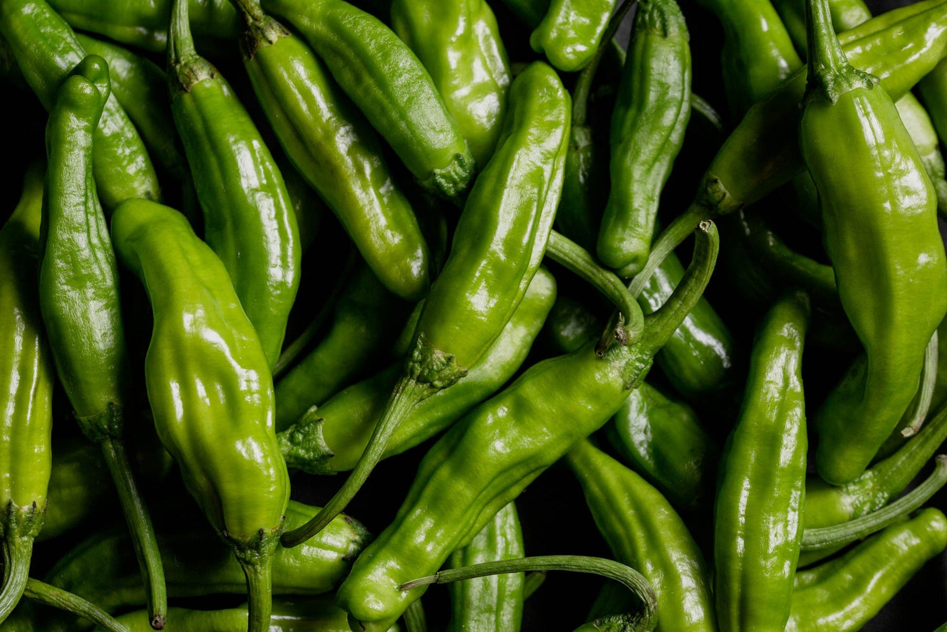 Sizzling Gardeners' Shishimai Peppers – Mildly Spicy Flavor For Grilling And Sautéing 1