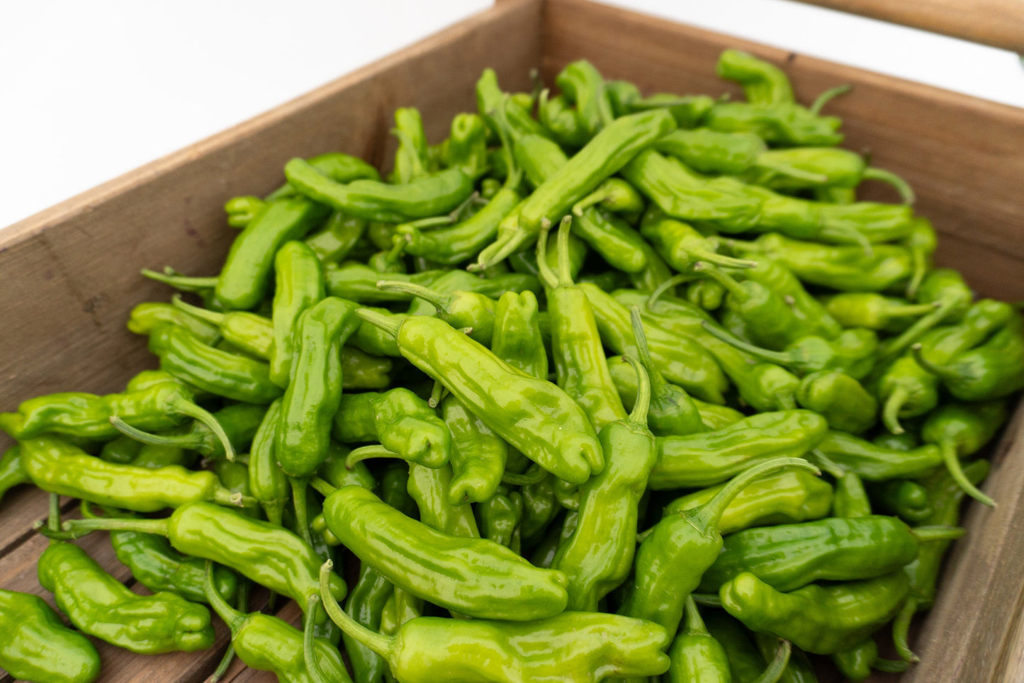 Sizzling Gardeners' Shishimai Peppers – Mildly Spicy Flavor For Grilling And Sautéing 2