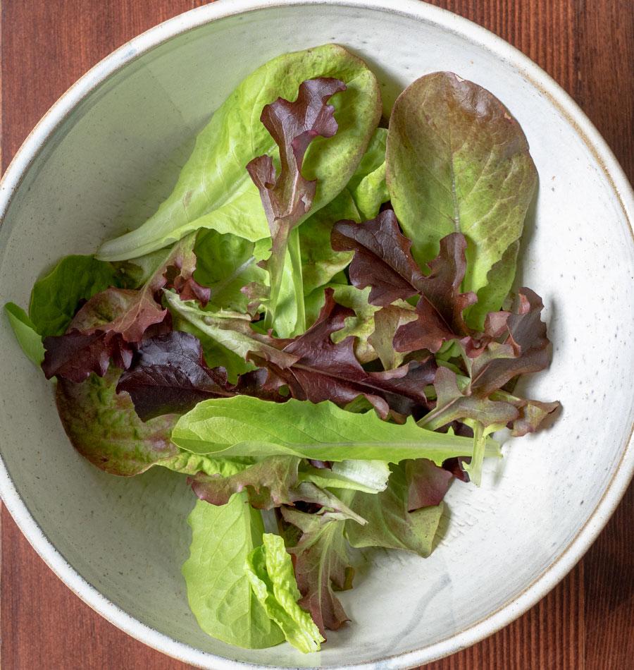 Sizzling Summer Salad Seeds – Easy-to-Plant Pelleted Mix for Home Gardeners 0
