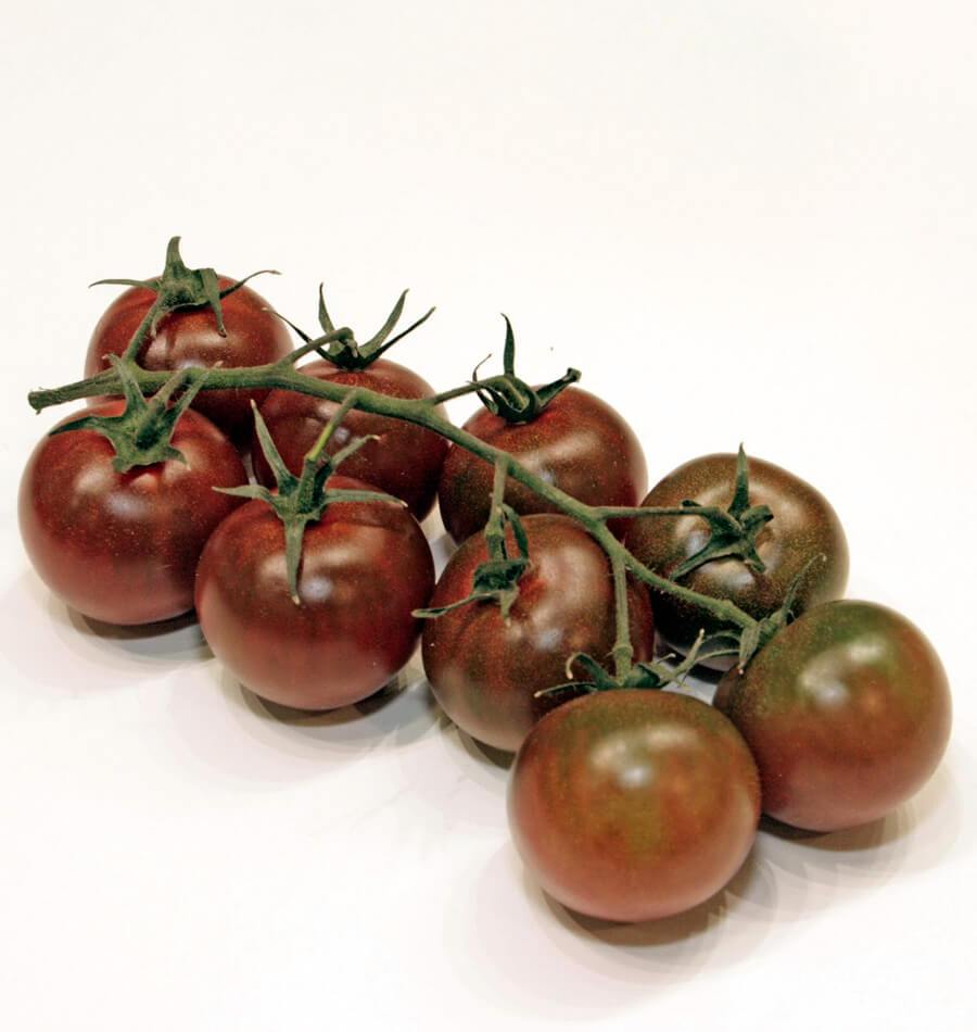 Sunchocola Cherry Tomato Gardeners Organic Vegetable – Sweet Smoky Flavor High Yield 1