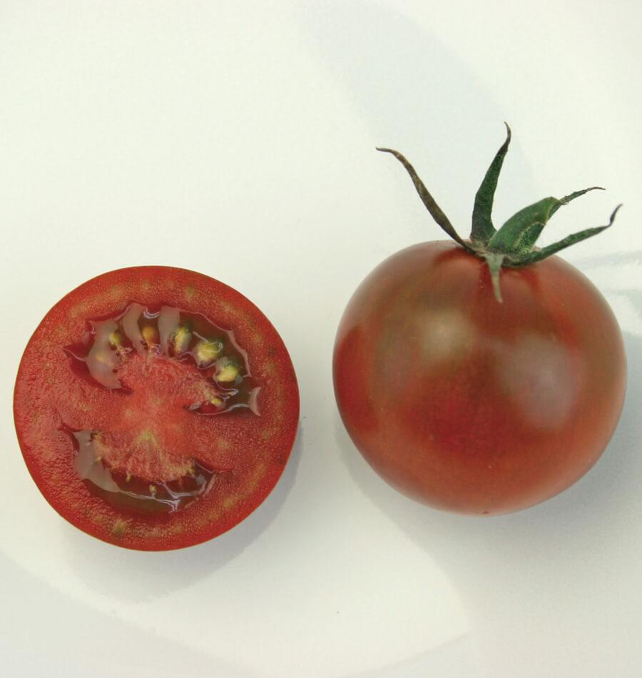 Sunchocola Cherry Tomato Gardeners Organic Vegetable – Sweet Smoky Flavor High Yield 2
