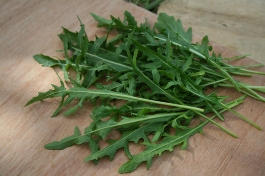 Surrey Salad Lovers Arugula – Fast Growing With Unique Serrated Leaves For Flavorful Salads And Dishes 0
