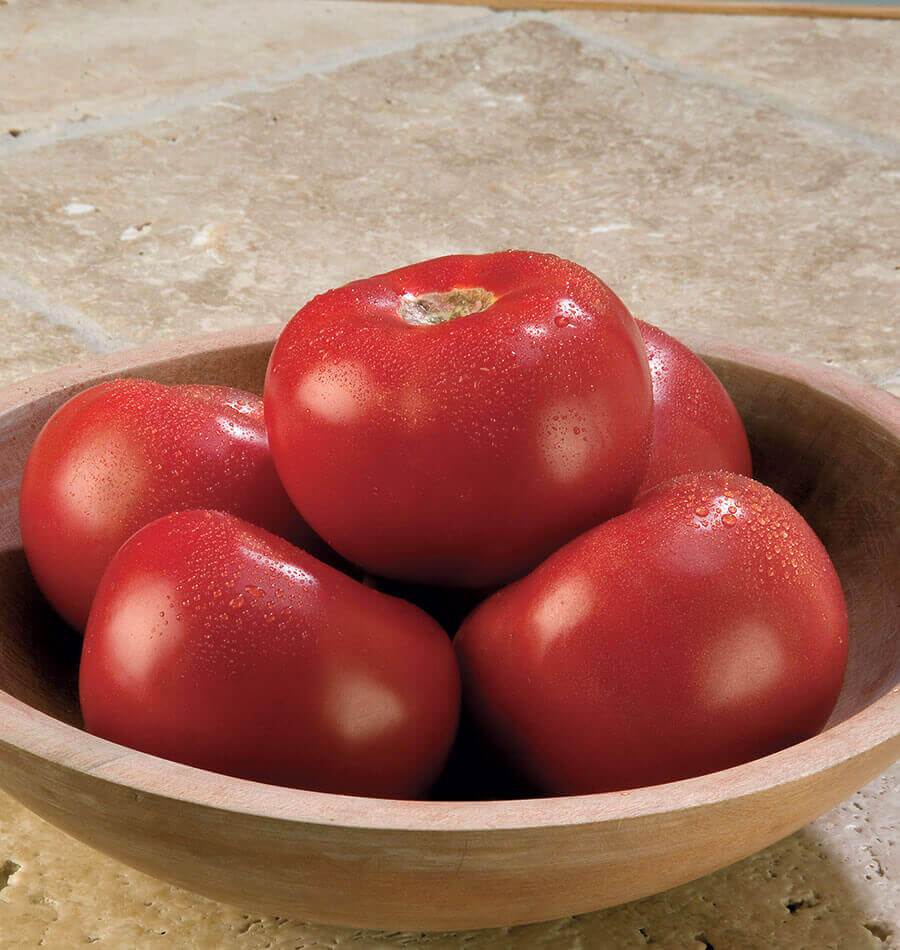 Tasti Tomato Seeds Gardening Enthusiasts – Exceptional Flavor and High Antioxidant Content for Delicious Homegrown Tomatoes 1