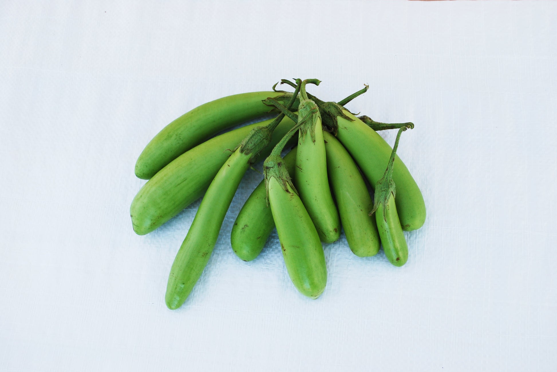 Tasty Thai Green Organic Eggplant – Unique Flavorful Addition for Culinary Delights 0