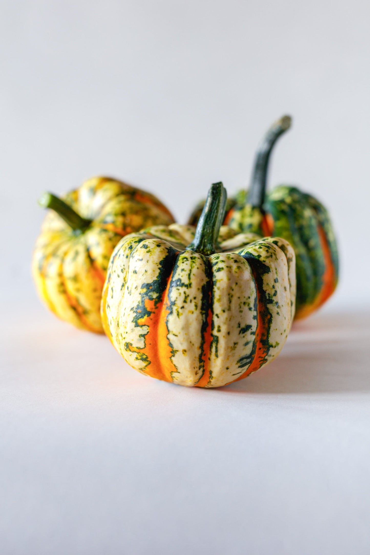 Tasty Thriller F1 Squash – Ornamental Edible Sweet Dumpling Variety for Vibrant Gardens 0
