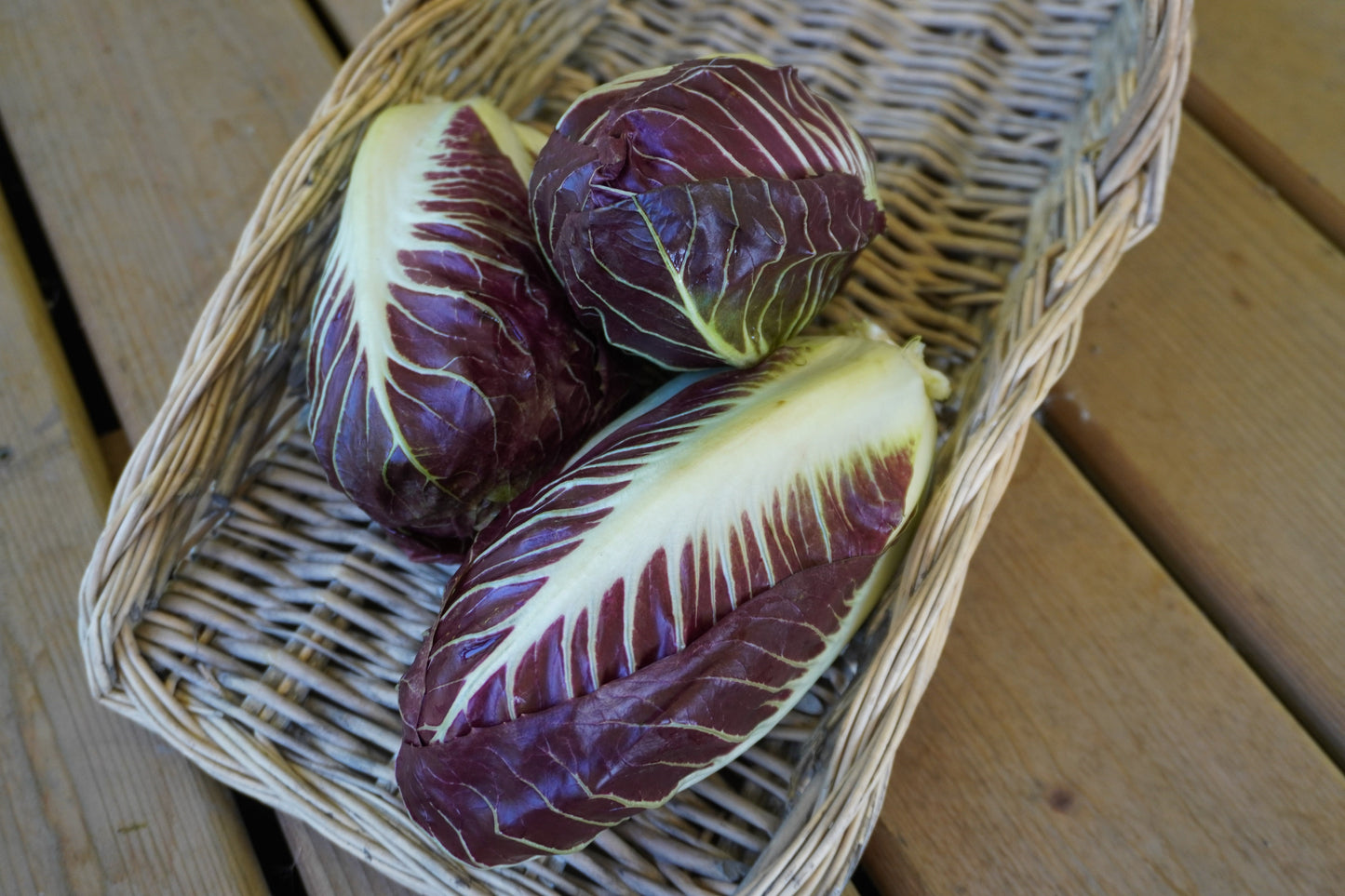 Tasty Vegetable Gourmet TVG1 Seeds – Oblong Shape With Milder Flavor For Crunchy Salads And Grilling 1