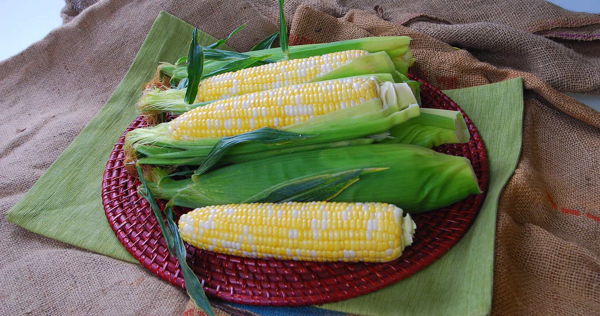 Temptress Vegetable Growers Hybrid Corn – Strong Early Vigour with Flavorful Bicolour Kernels for Fresh Consumption 0